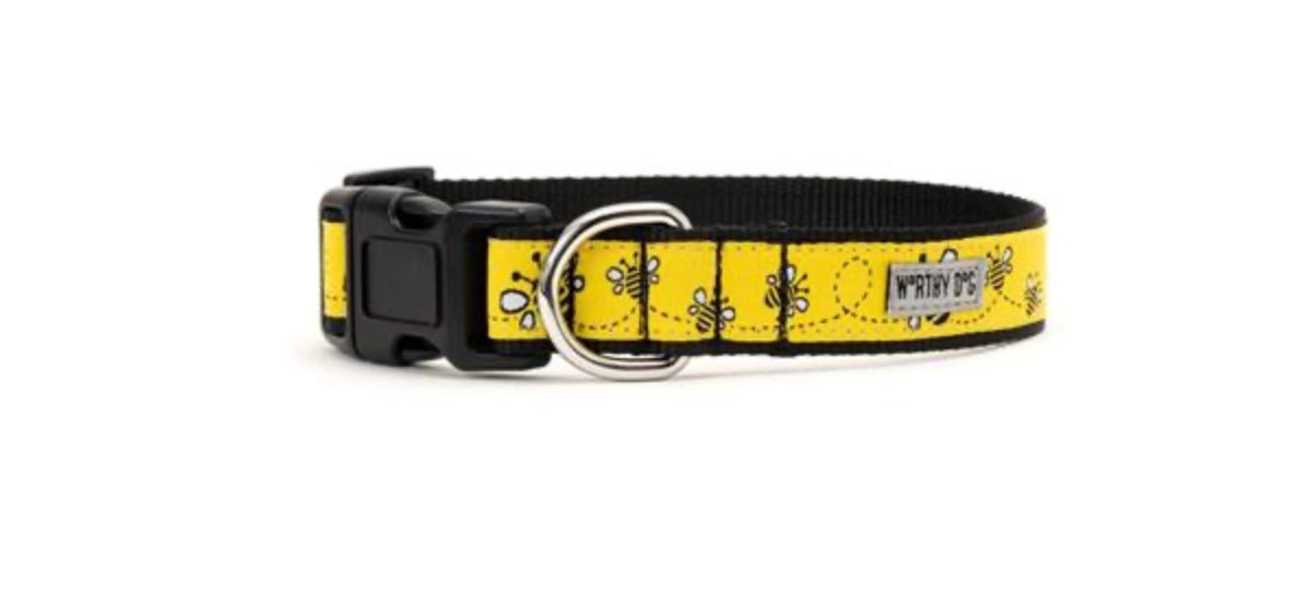 Yellow Bzzz! Collar & Lead Collection