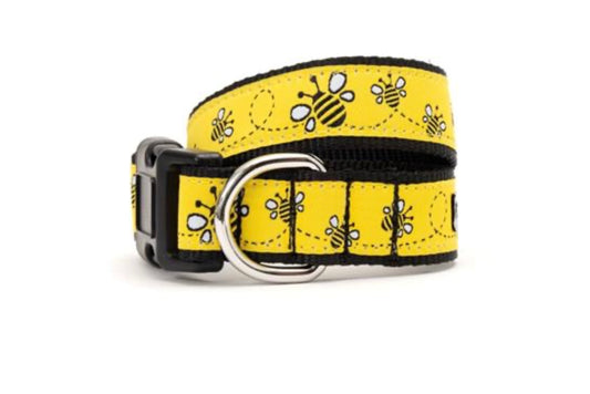 Yellow Bzzz! Collar & Lead Collection