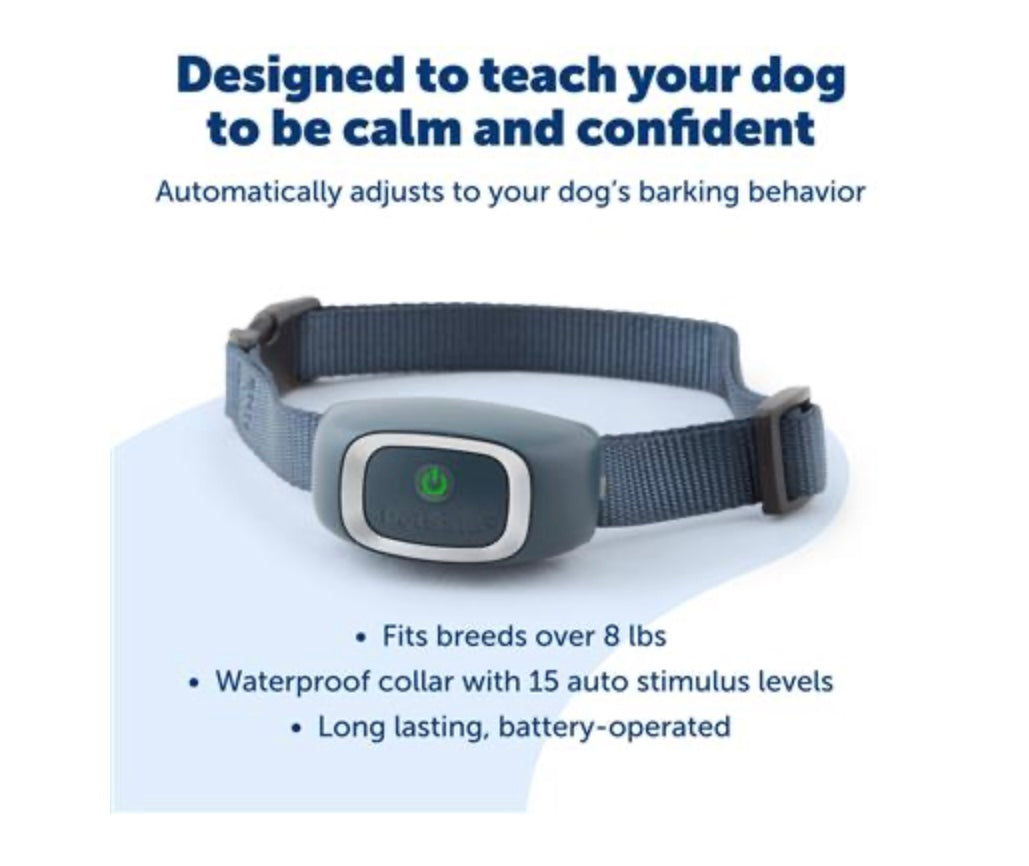 PetSafe Classic Bark Collar